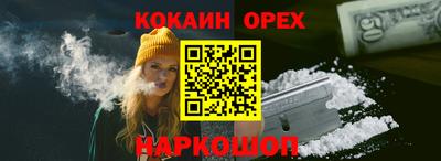 прущие грибы Можга