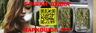 индика Можайск