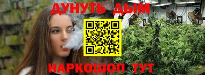 прущие грибы Можга