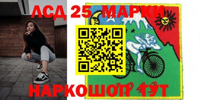 индика Можайск