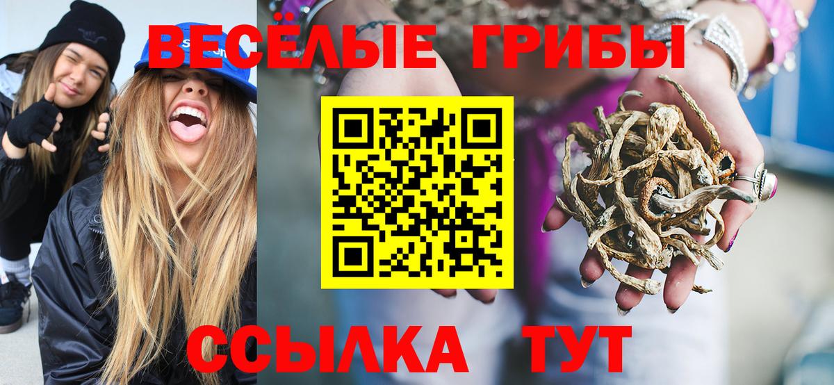 Псилоцибиновые грибы MAGIC MUSHROOMS Владикавказ
