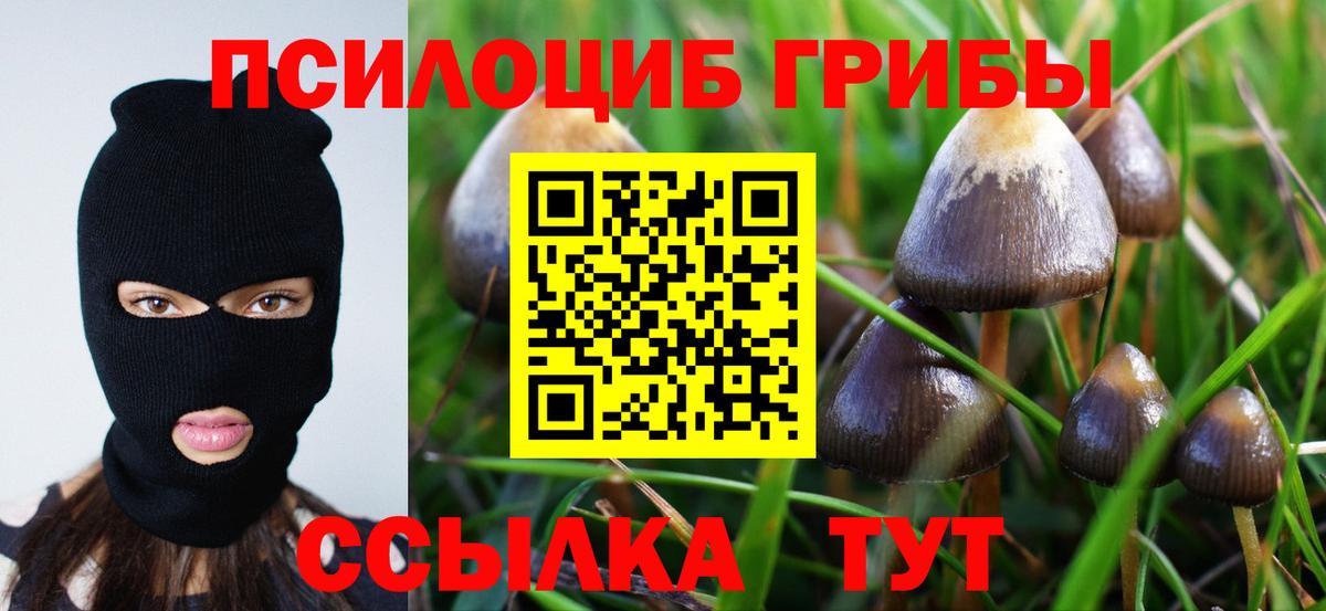 Псилоцибиновые грибы Psilocybine cubensis  Вход с VPN  Владикавказ  Галлюциногенные грибы мухоморы 