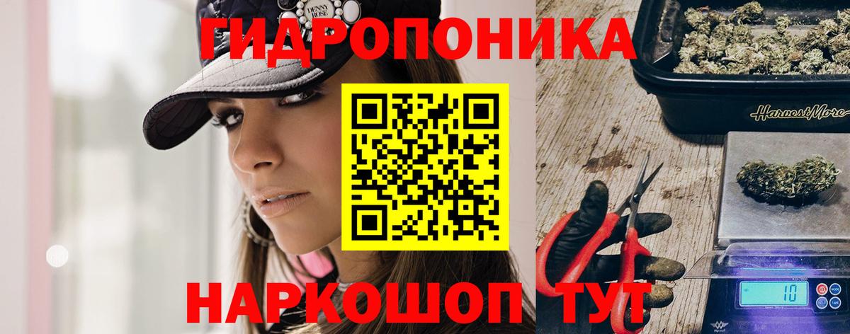 Каннабис LSD WEED  Шишки марихуана индика  Владикавказ  Вход с VPN  Марихуана марихуана  Бошки марихуана AK-47 